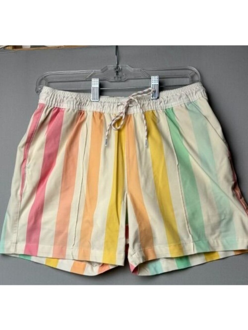 Chubbies Men's Small 5.5"Lined Swim Trunks Pastel Stripe Beach Pool Shorts